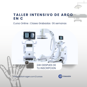 Taller intensivo de arco en C